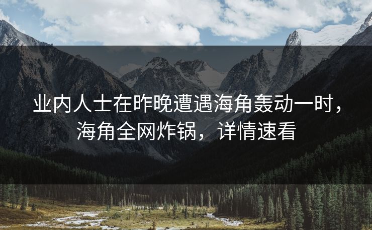 业内人士在昨晚遭遇海角轰动一时，海角全网炸锅，详情速看