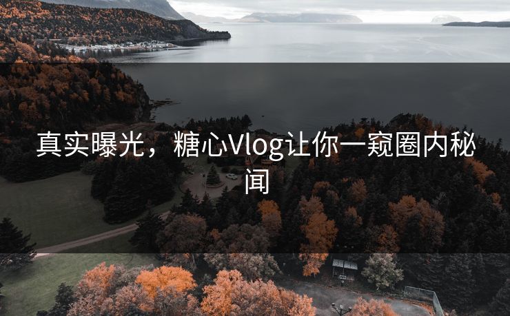 真实曝光，糖心Vlog让你一窥圈内秘闻