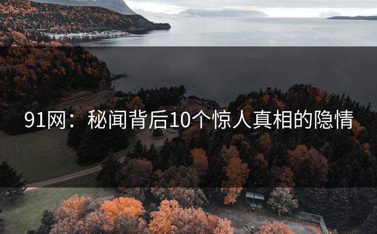 91网：秘闻背后10个惊人真相的隐情