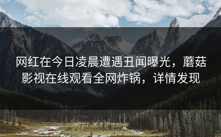 网红在今日凌晨遭遇丑闻曝光，蘑菇影视在线观看全网炸锅，详情发现