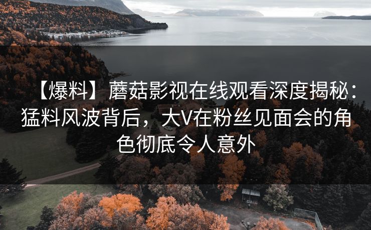 【爆料】蘑菇影视在线观看深度揭秘：猛料风波背后，大V在粉丝见面会的角色彻底令人意外
