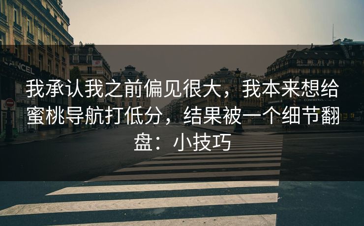 我承认我之前偏见很大，我本来想给蜜桃导航打低分，结果被一个细节翻盘：小技巧