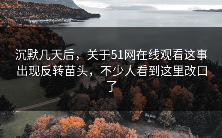 沉默几天后，关于51网在线观看这事出现反转苗头，不少人看到这里改口了